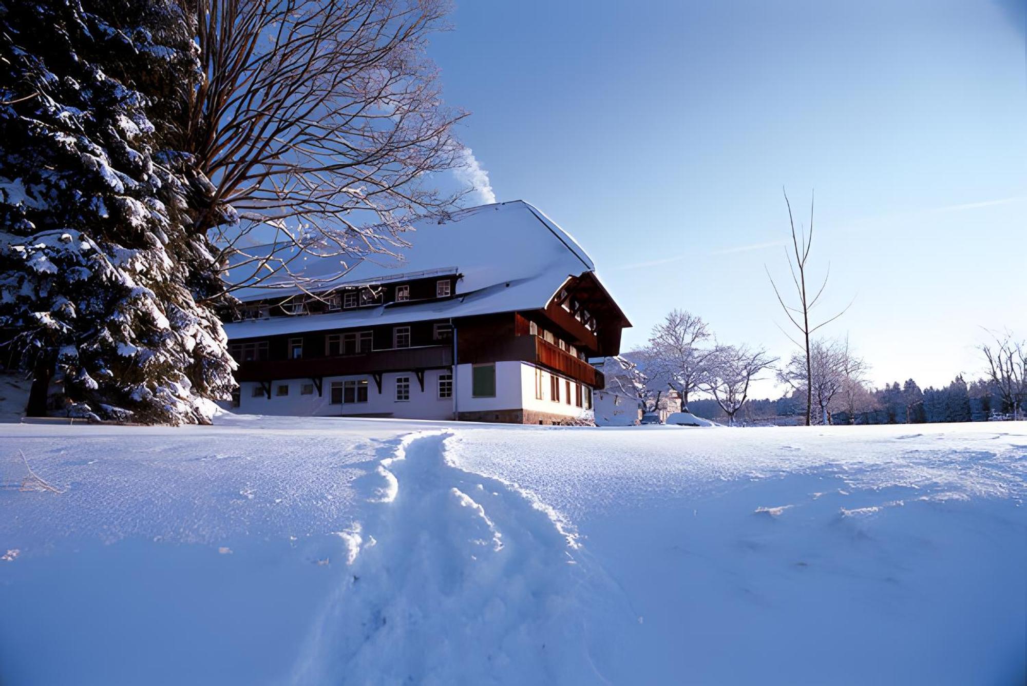 Ferienhaus Voelkle Хинтерцартен Экстерьер фото